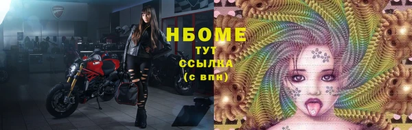 стаф Баксан