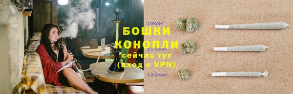 стаф Баксан